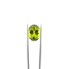 8.75ct Oval Pakistan Peridot