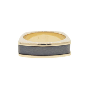 Meteorite and Yellow Gold Inlay Ring