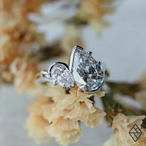 Custom Design Gallery