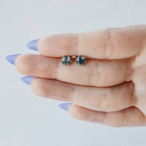 6-Prong Teal Sapphire Stud Earrings