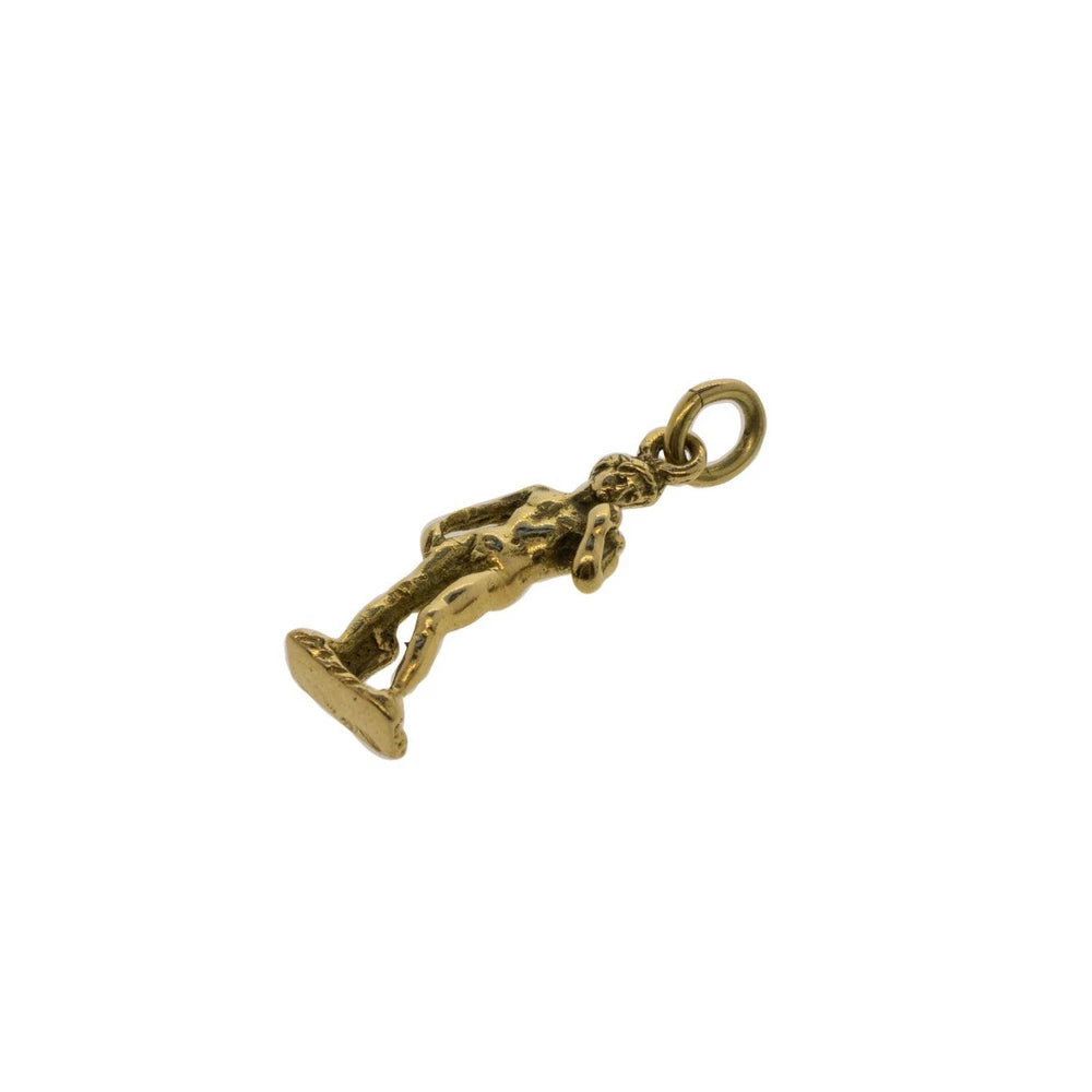 Michaelangelo's David Vintage Charm
